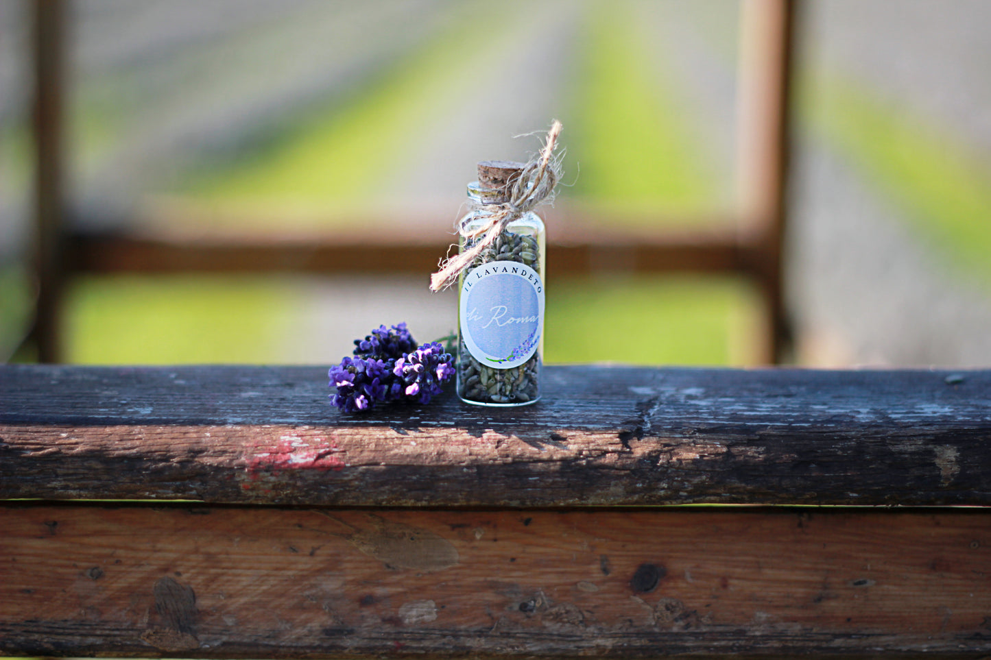 Bottiglietta con fiori di Lavanda