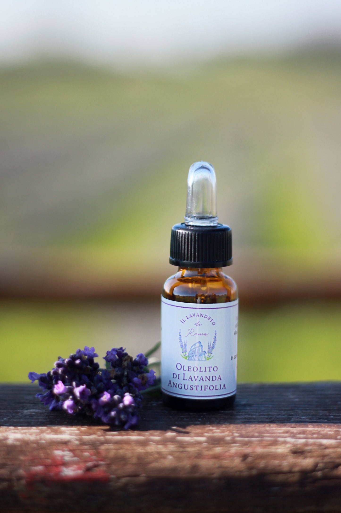 Oleolito di Lavanda Officinale