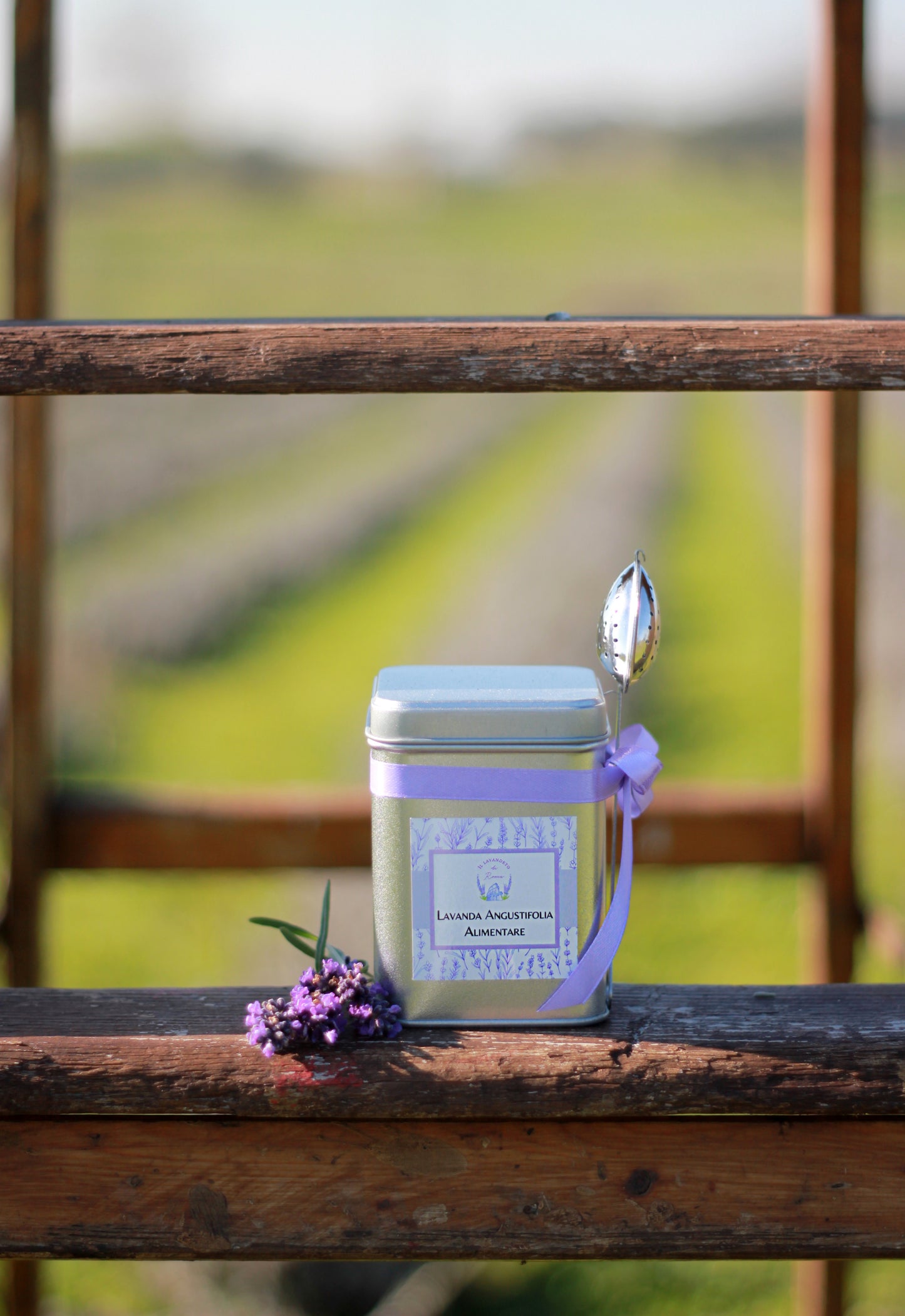 Lavanda alimentare confezione latta